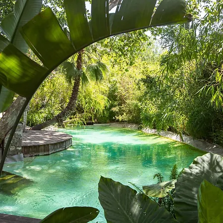 Гостьовий будинок Domaine Les Mesanges