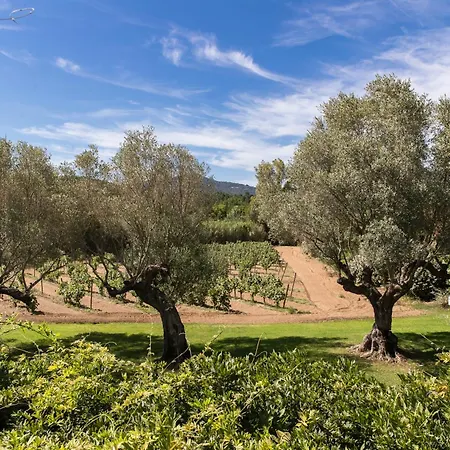 Гостьовий будинок Domaine Les Mesanges 3*