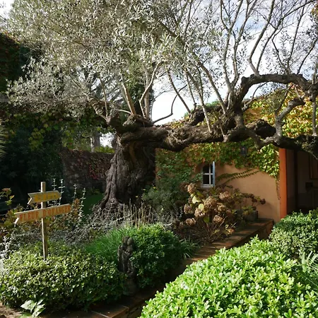 Domaine Les Mesanges 3*