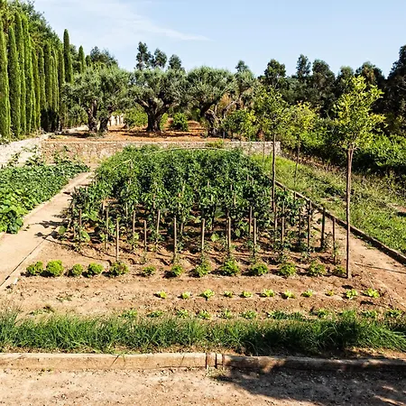 Domaine Les Mesanges 가신