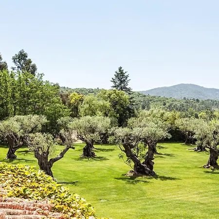 게스트하우스 Domaine Les Mesanges 3*