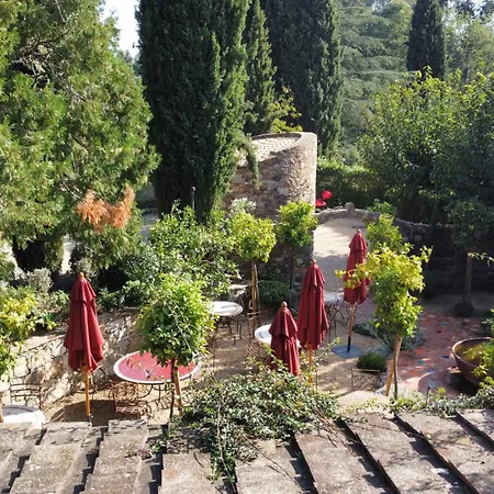 Domaine Les Mesanges