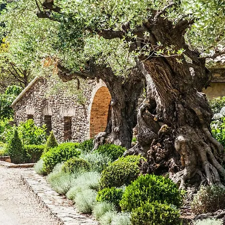 Domaine Les Mesanges